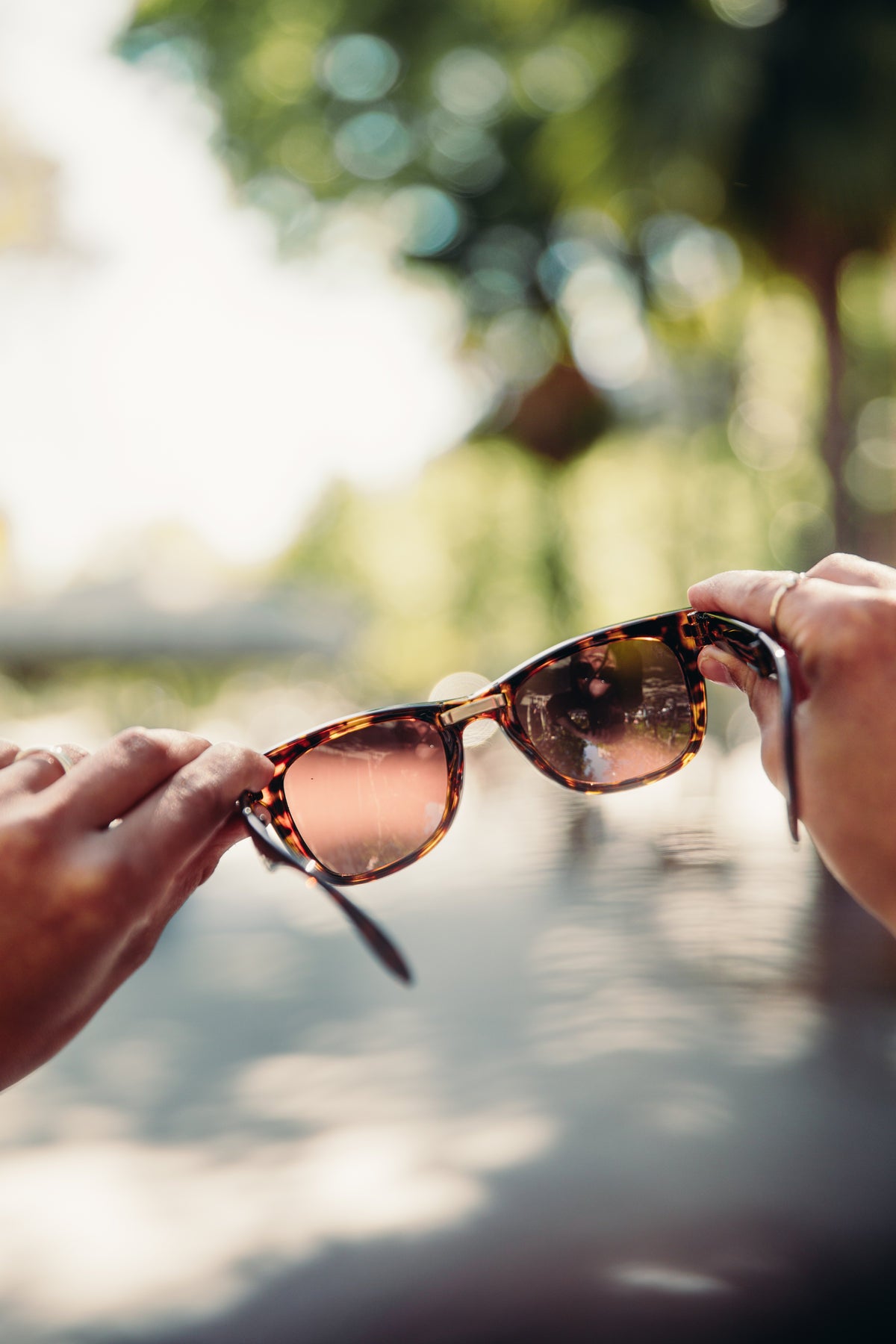 Velocity Race Sunglasses